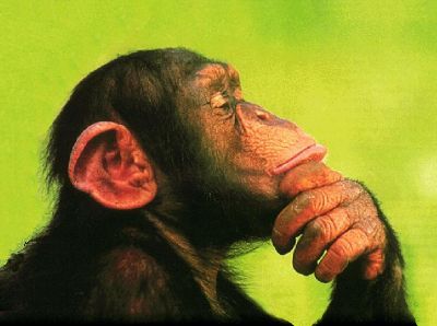 meditate-gente-meditate3