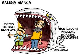balena bianca due